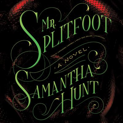 Mr. Splitfoot Audiobook, by Samantha Hunt