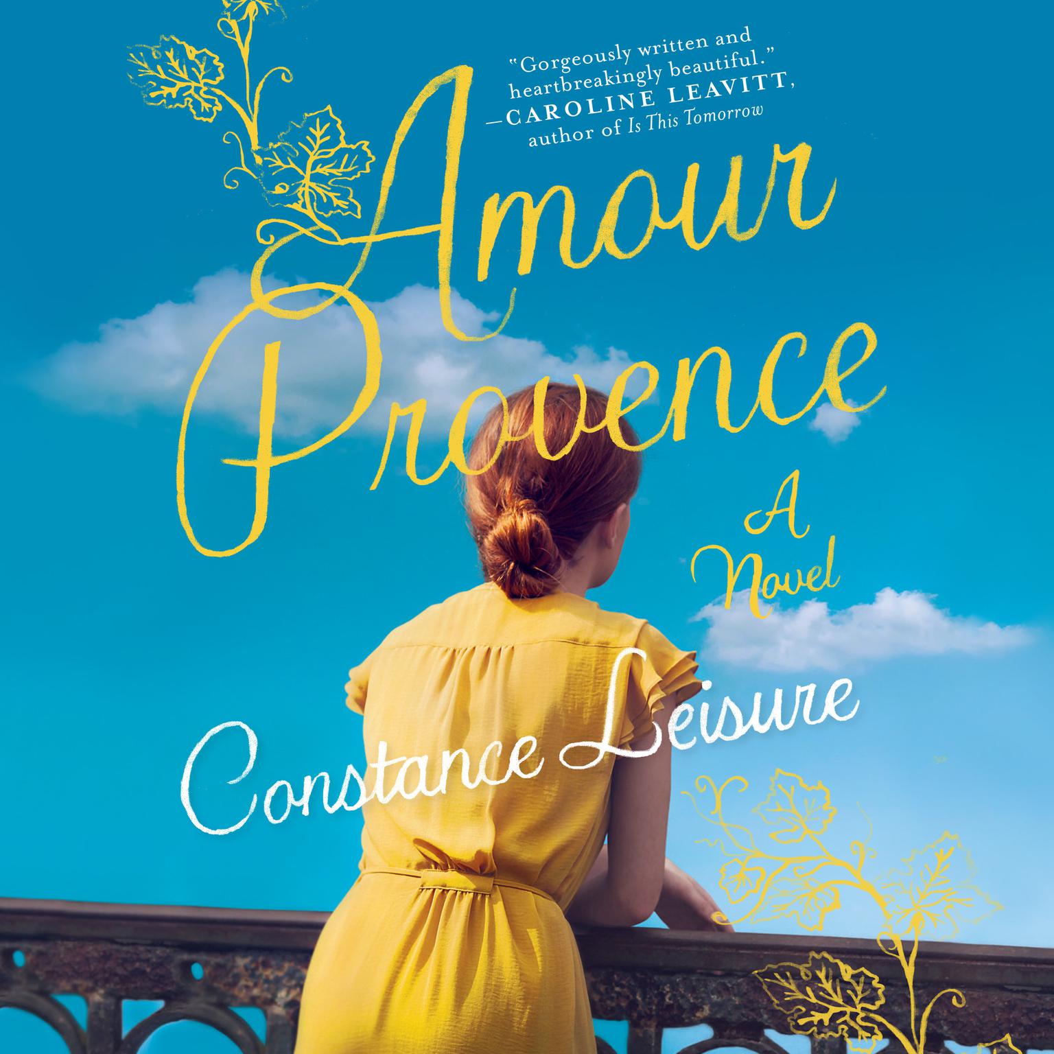 Amour Provence: A Novel Audiobook, by Constance Leisure