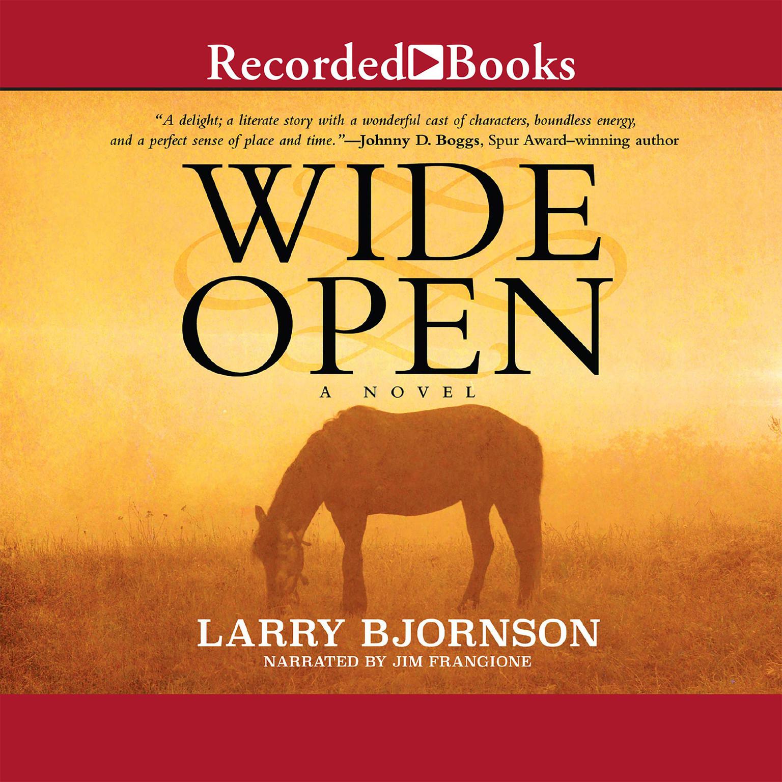 Wide Open Audiobook, by Larry Bjornson