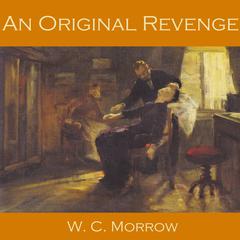 An Original Revenge Audiobook, by W. C. Morrow