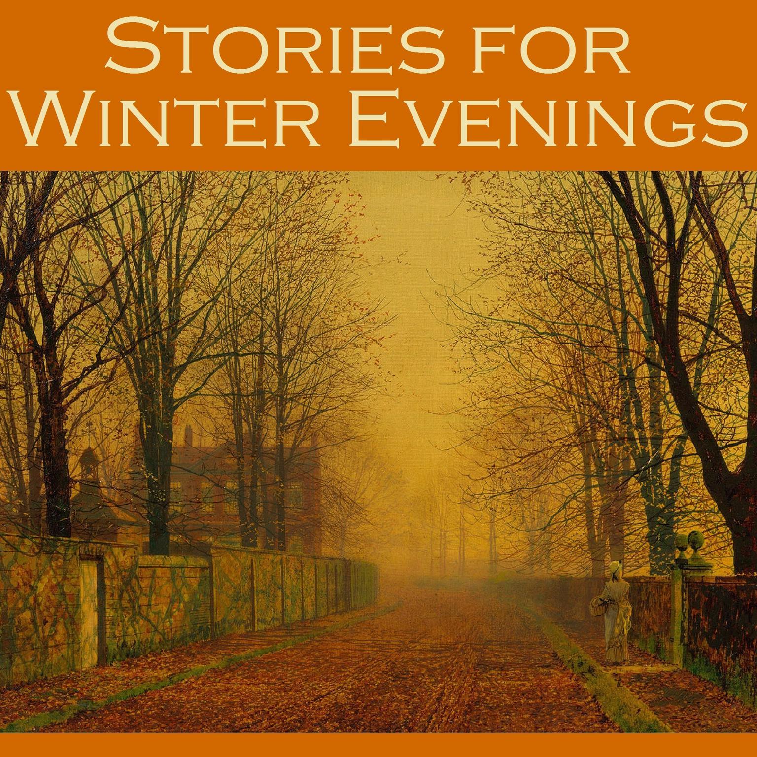 Stories for Winter Evenings Audiobook, by various authors
