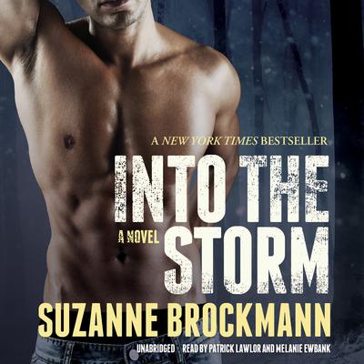 Into the Storm: A Novel Audiobook, by Suzanne Brockmann