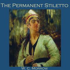 The Permanent Stiletto Audiobook, by W. C. Morrow
