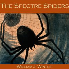The Spectre Spiders Audiobook, by William J. Wintle