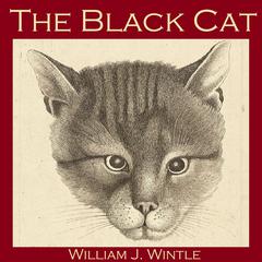 The Black Cat Audiobook, by William J. Wintle