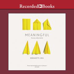 Meaningful: The Story of Ideas That Fly Audiobook, by Bernadette Jiwa