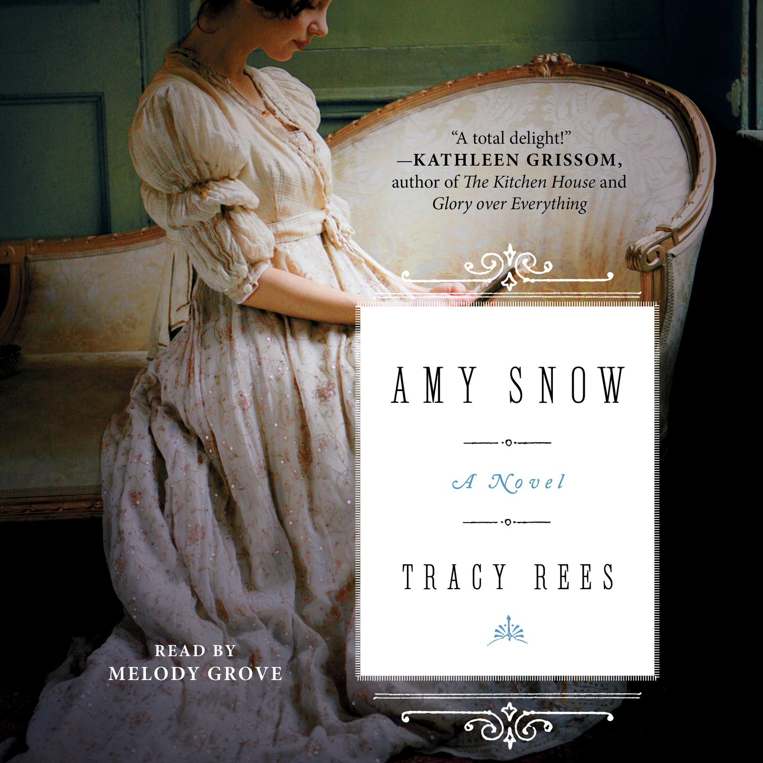Amy Snow: A Novel Audiobook, by Tracy Rees