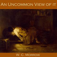 An Uncommon View of it Audiobook, by W. C. Morrow