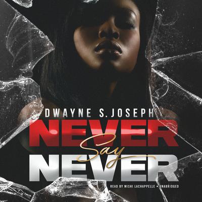 Never Say Never Audiobook, by 
