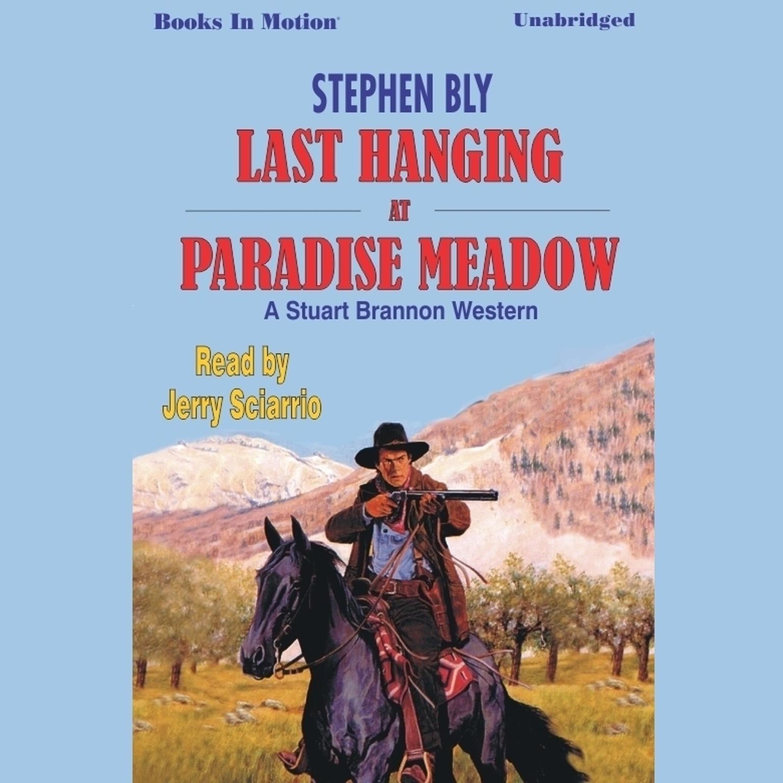 Last Hanging at Paradise Meadow Audiobook, by Stephen Bly