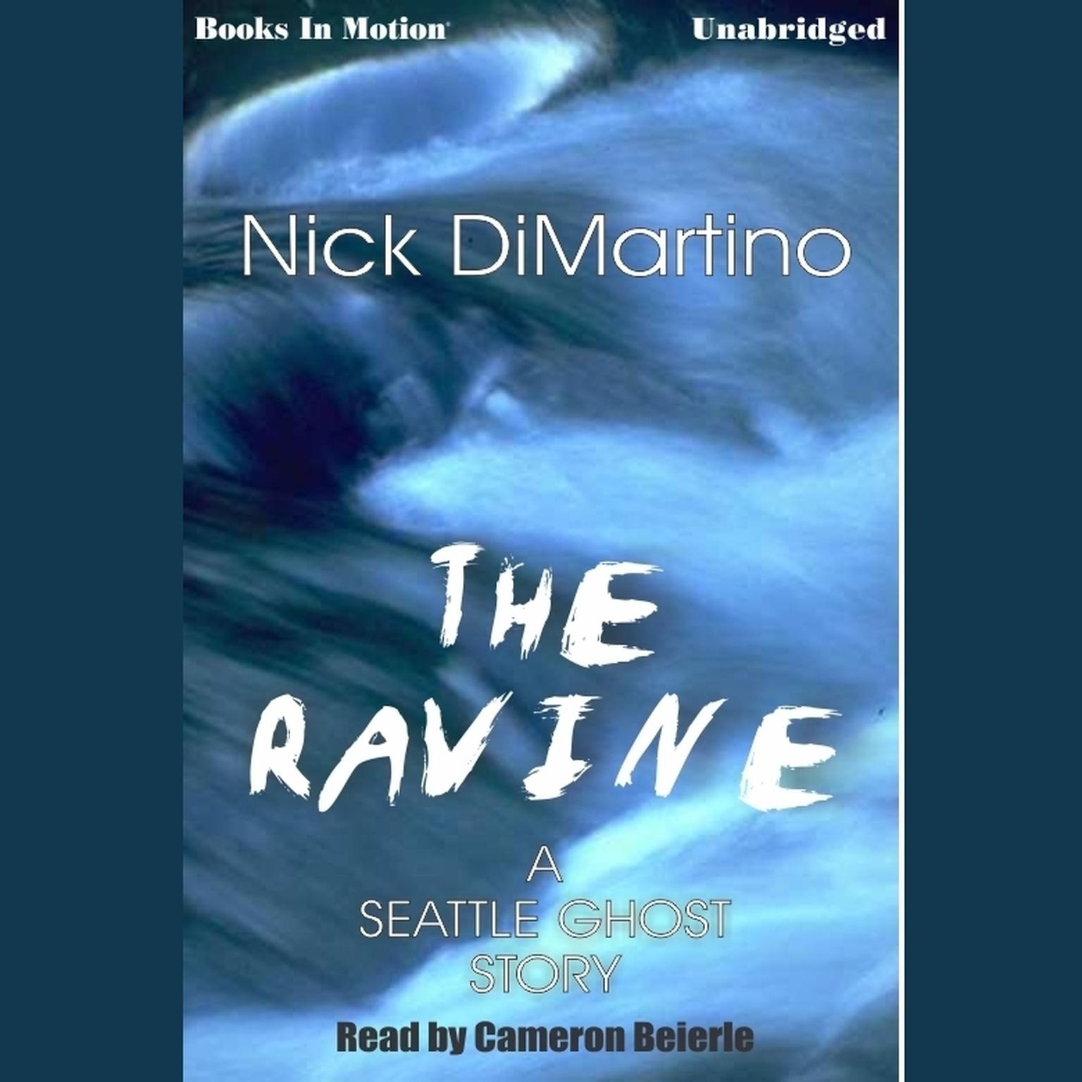 The Ravine Audiobook, by Nick DiMartino