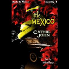 Little Mexico Audiobook, by Cathie John