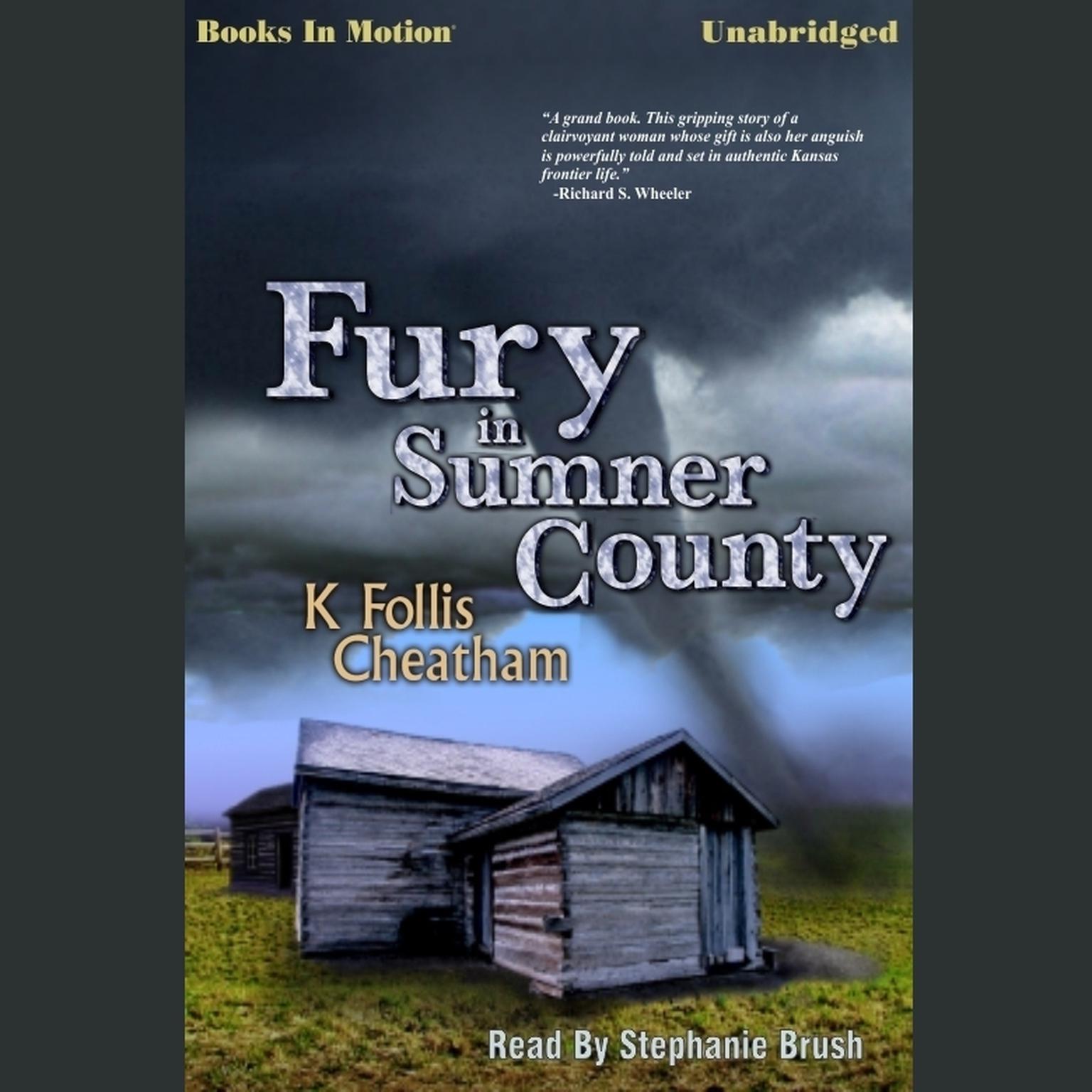 Fury in Sumner County Audiobook, by K Follis Cheatham