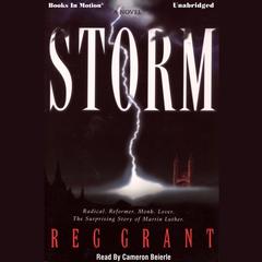 Storm Audiobook, by Reg Grant