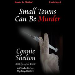 Small Towns Can Be Murder Audiobook, by Connie Shelton