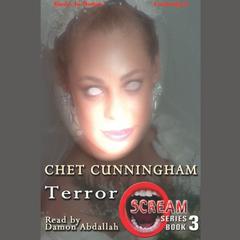 Terror Audiobook, by Chet Cunningham