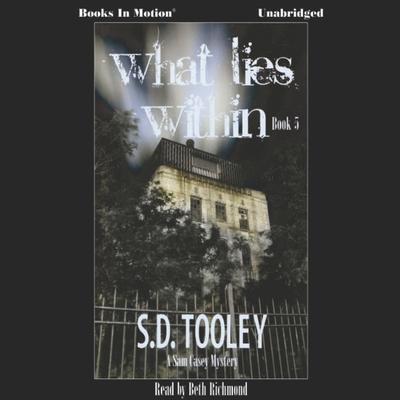 What Lies Within Audiobook, by S.D. Tooley