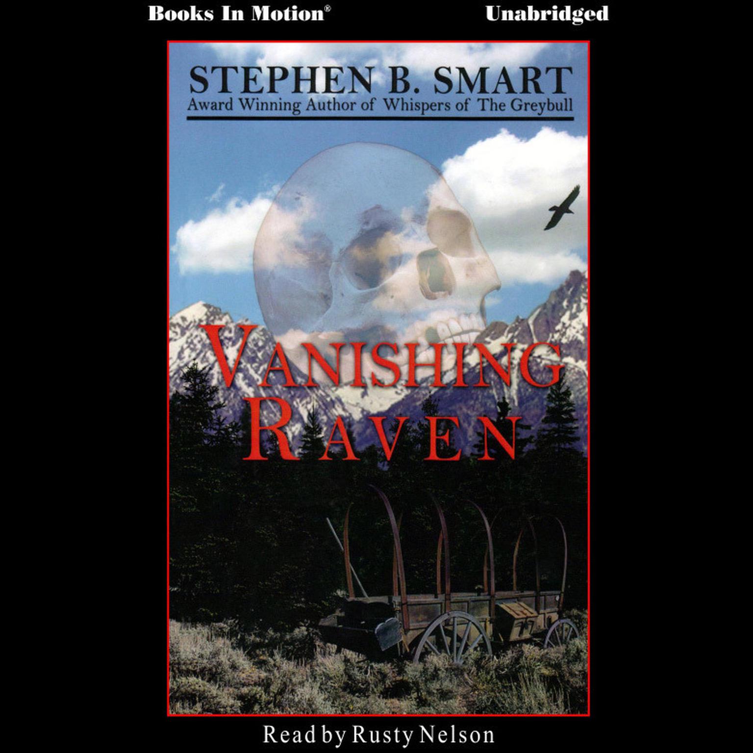 Vanishing Raven Audiobook, by Stephen B. Smart