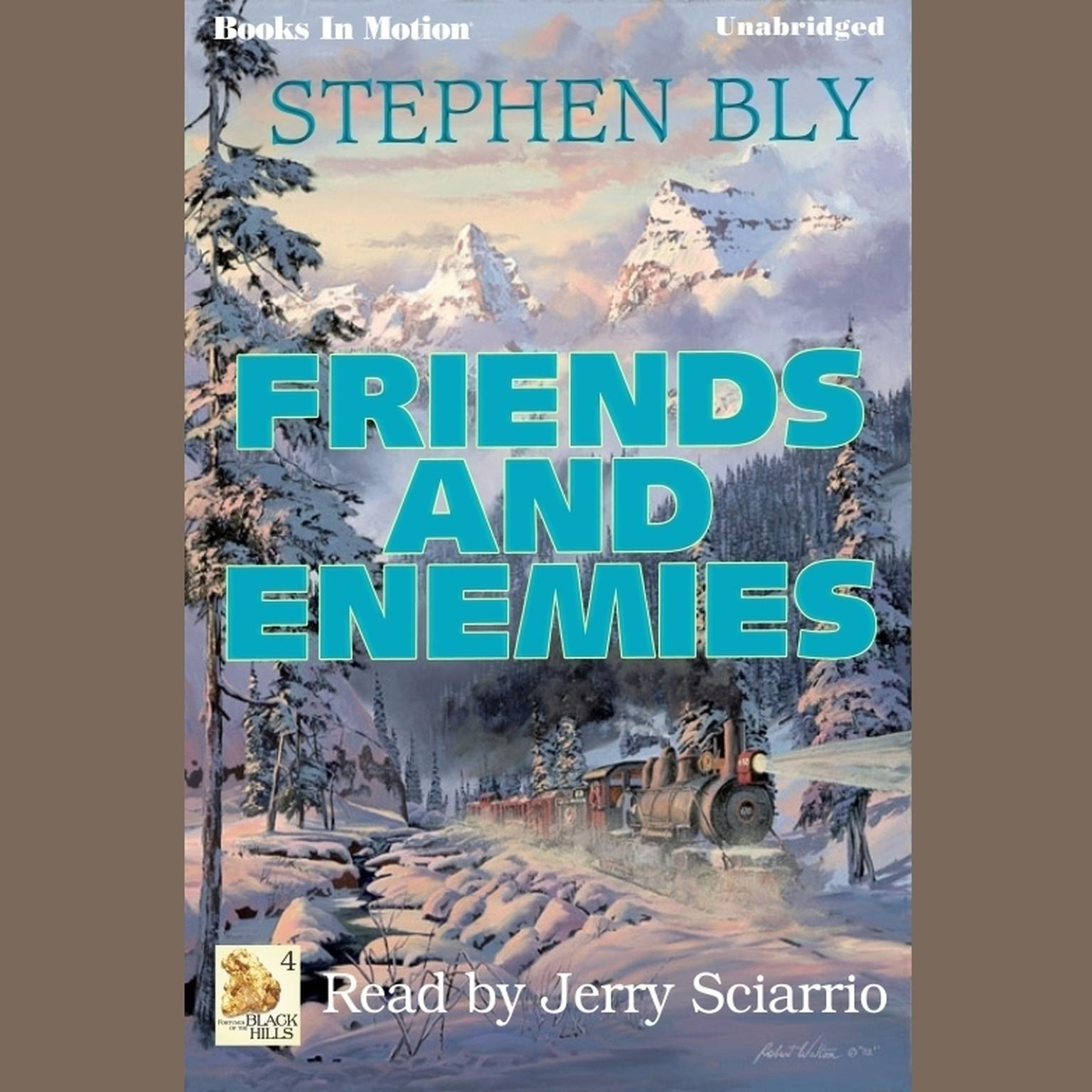 Friends And Enemies Audiobook, by Stephen Bly