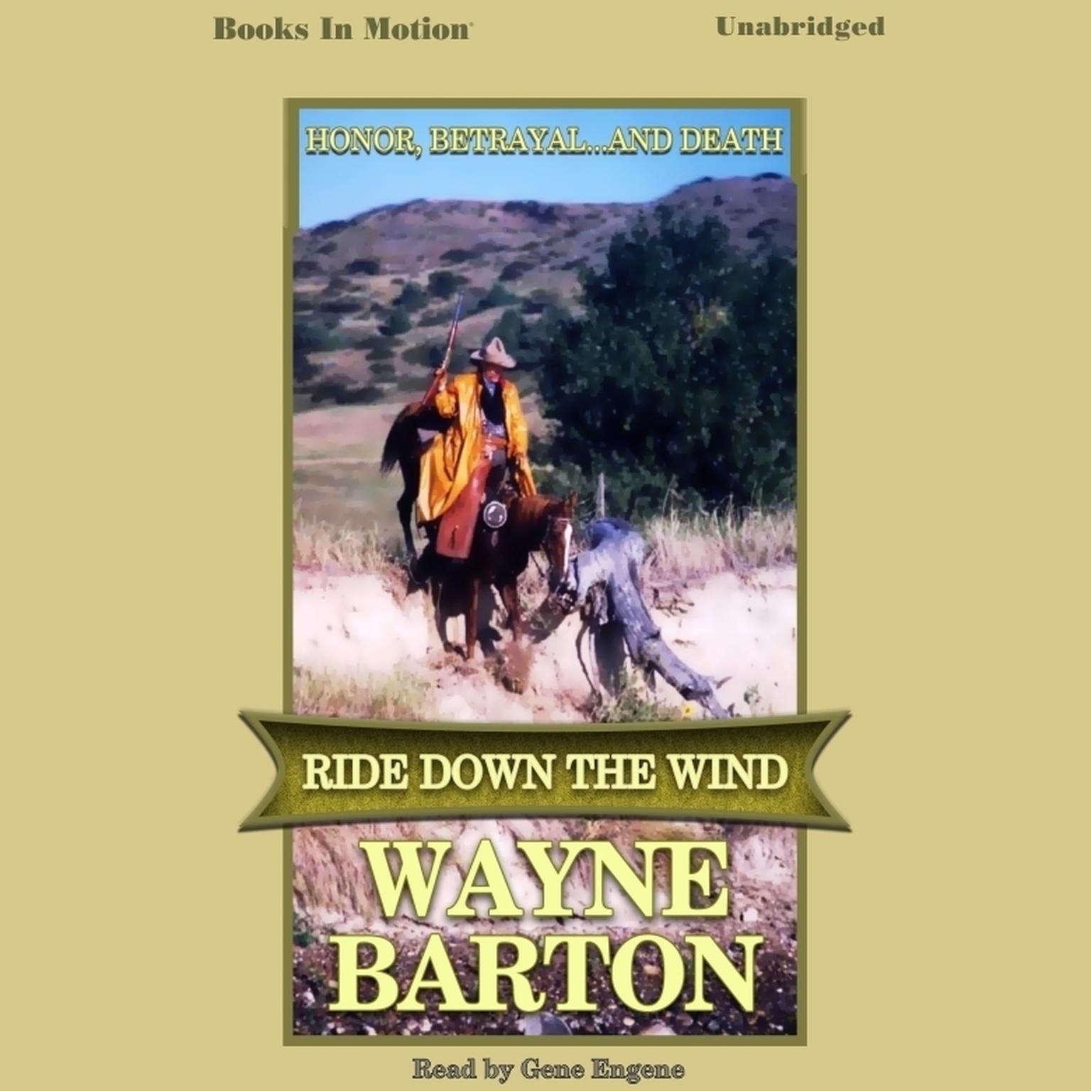 Ride Down The Wind Audiobook, by Wayne Barton