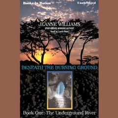 The Underground River Audiobook, by Jeanne Williams