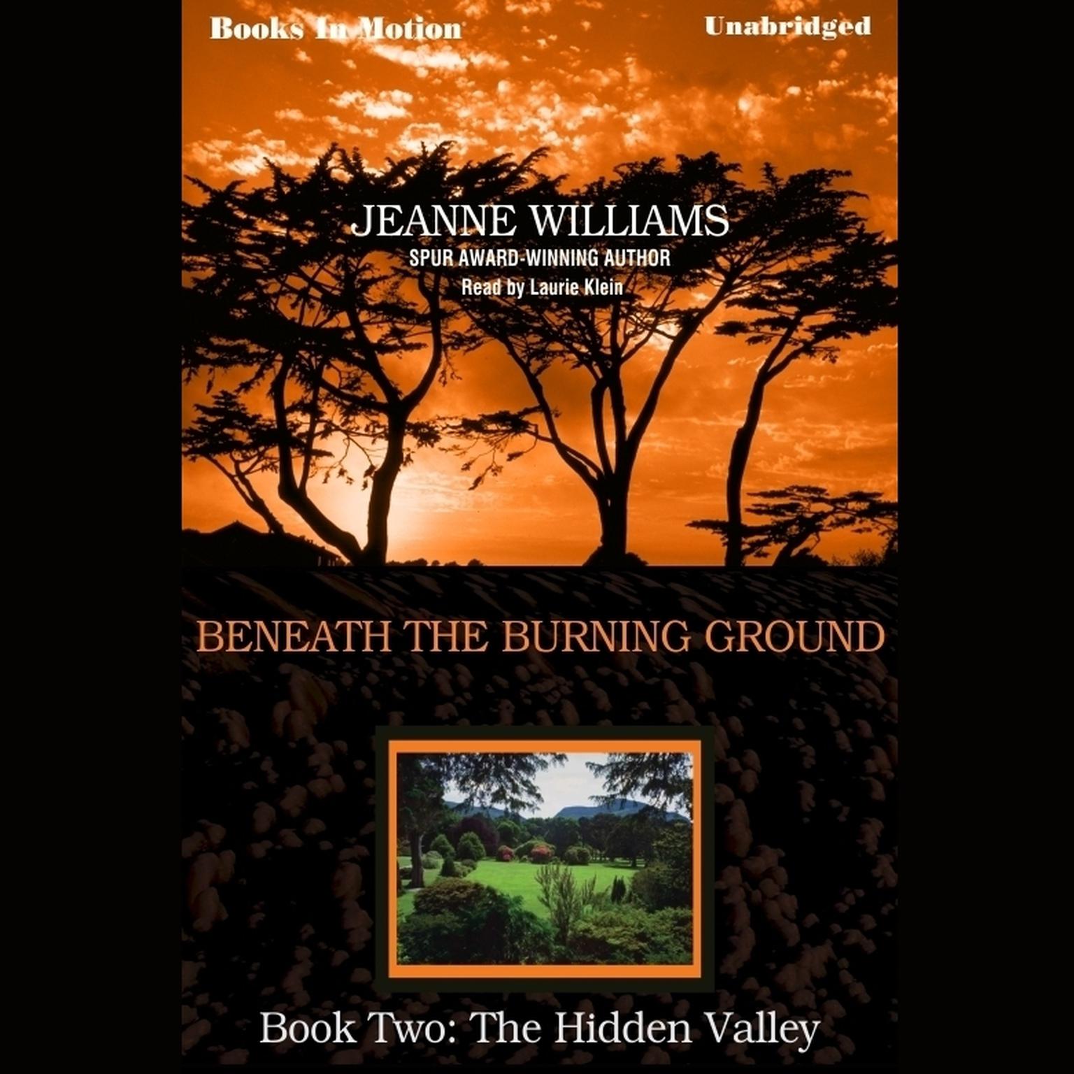The Hidden Valley Audiobook, by Jeanne Williams