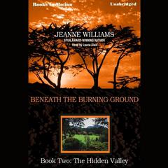 The Hidden Valley Audiobook, by Jeanne Williams