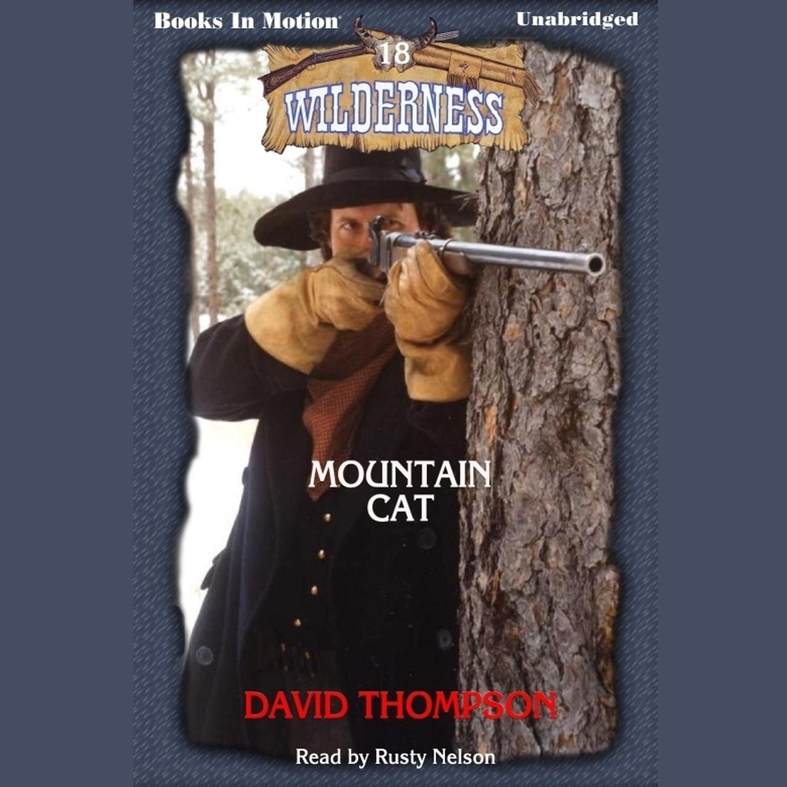 Mountain Cat Audiobook, by David Thompson