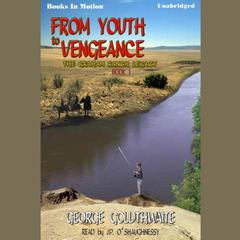 From Youth To Vengeance Audiobook, by George Goldthwaite