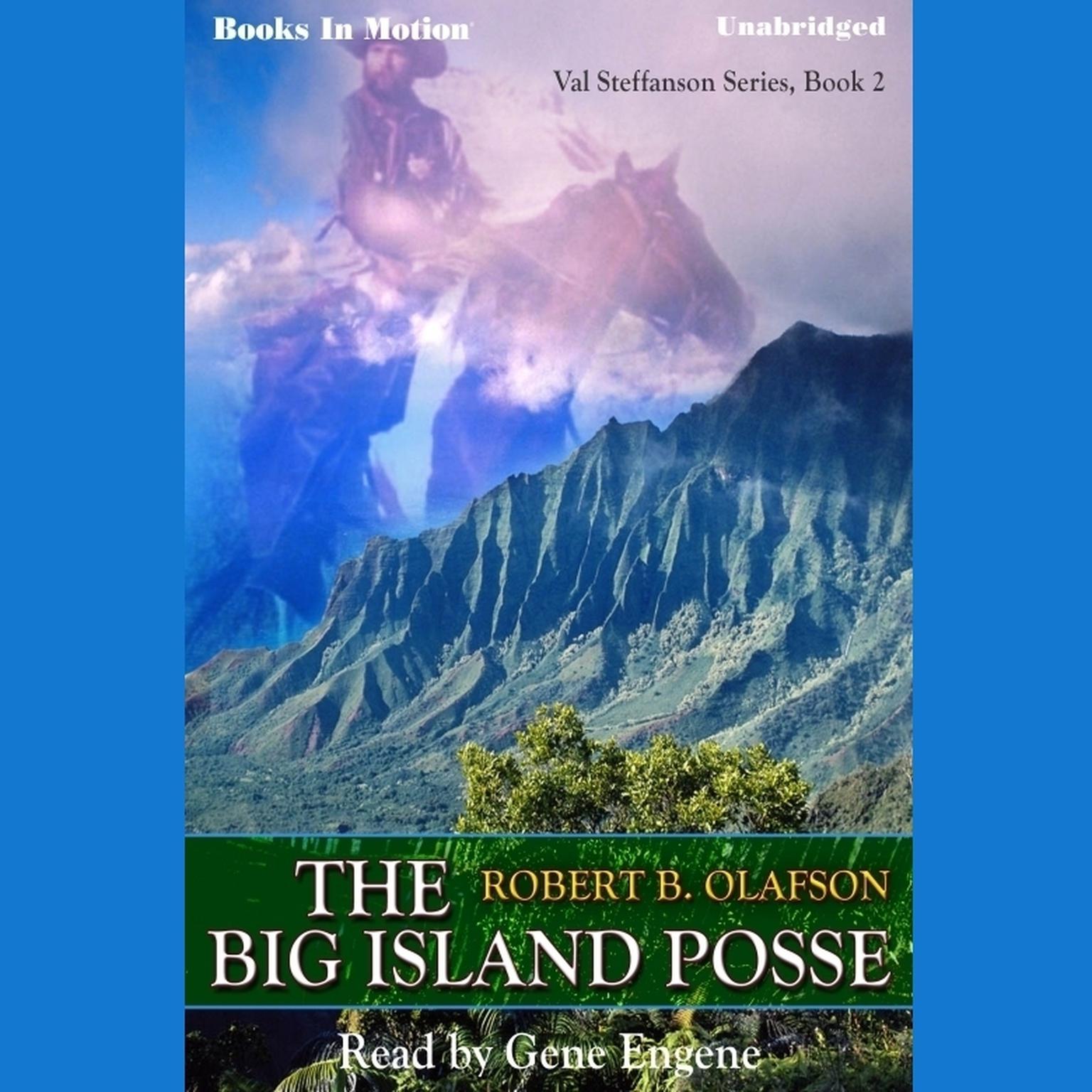 The Big Island Posse Audiobook, by Robert B. Olafson