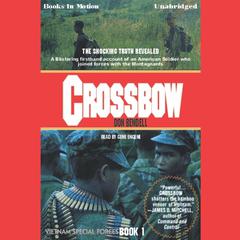 Crossbow Audiobook, by Don Bendell