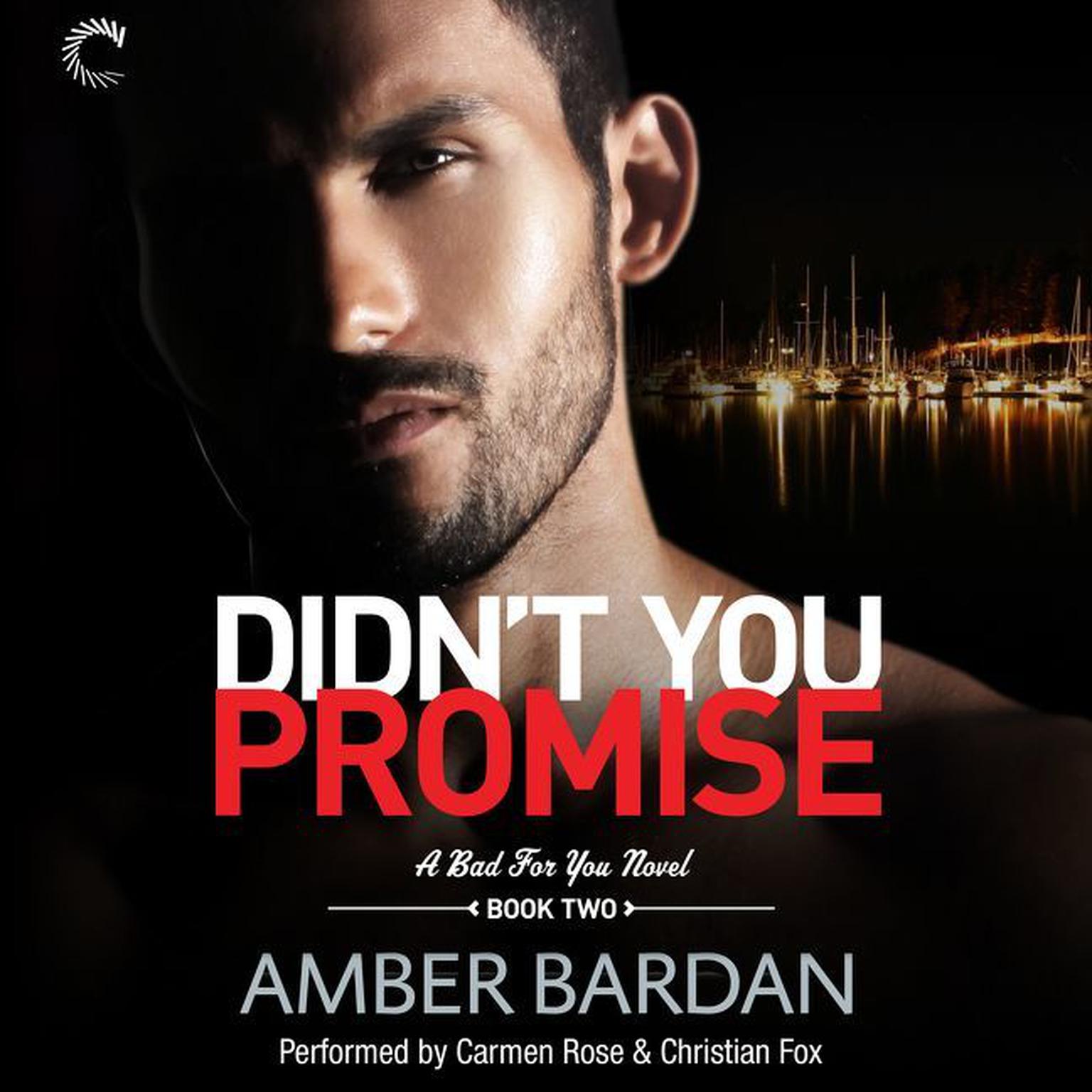 Didn’t You Promise Audiobook, by Amber Bardan