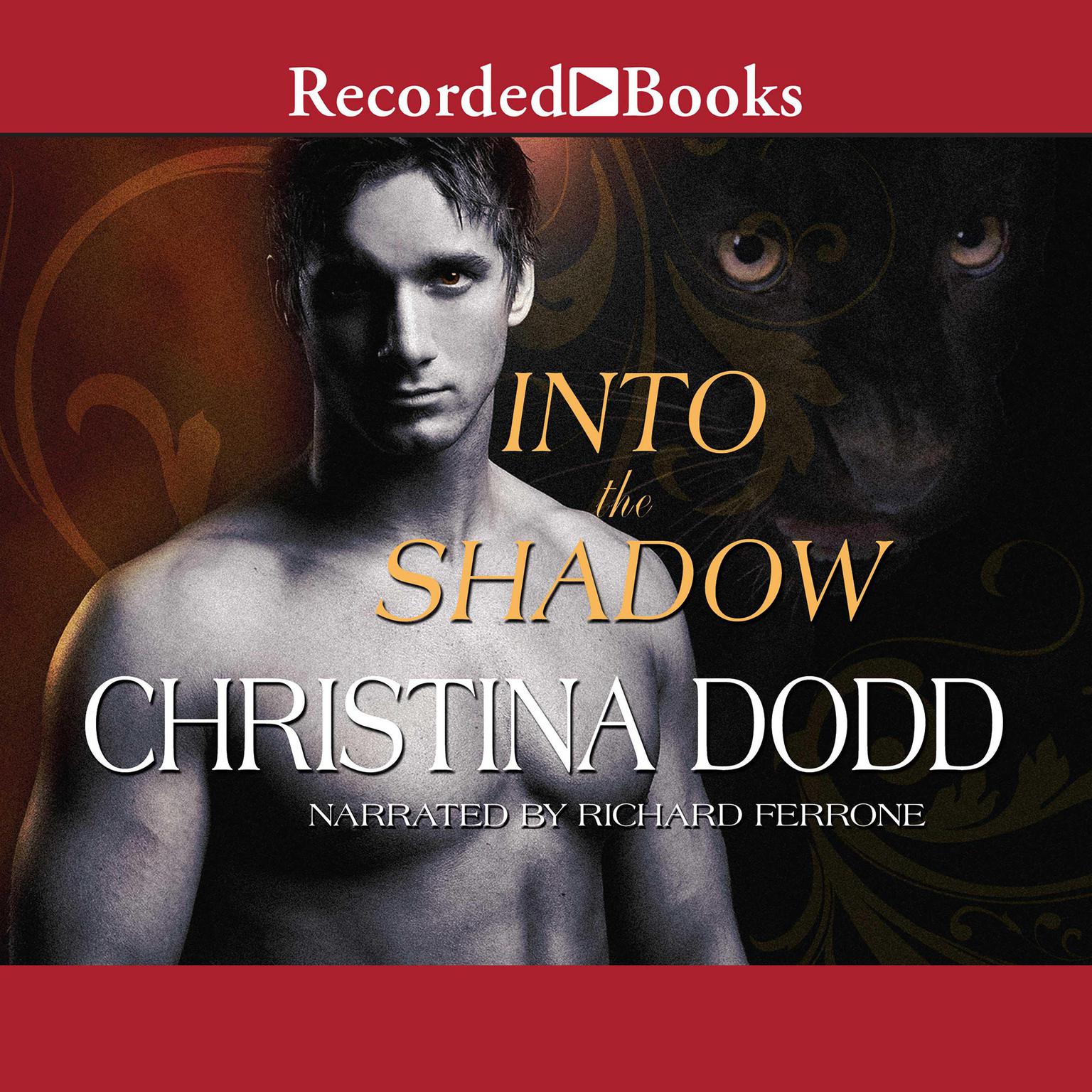 Into the Shadow Audiobook, by Christina Dodd