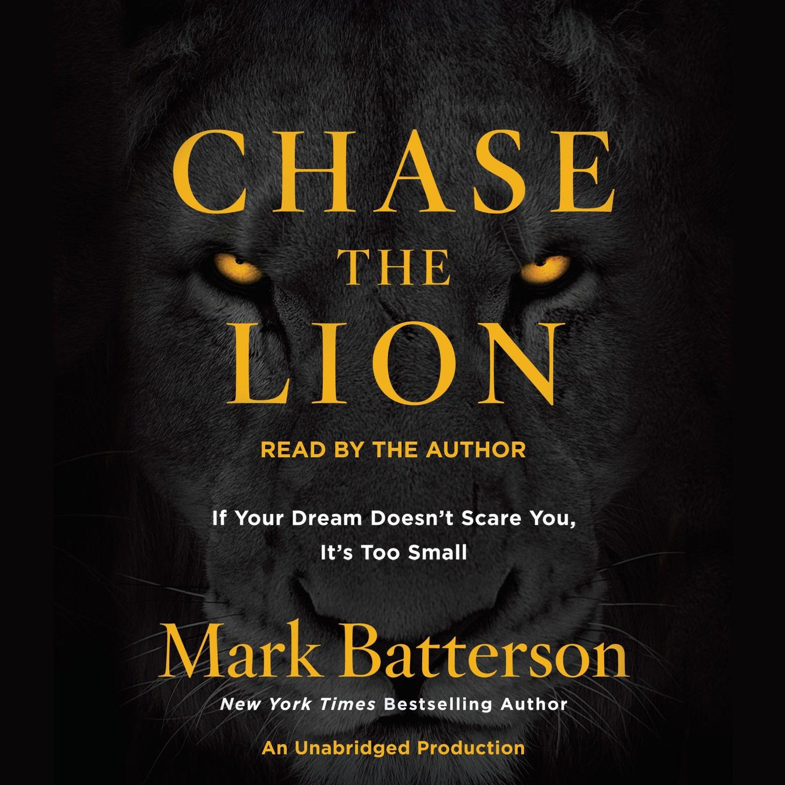 Chase the Lion: If Your Dream Doesnt Scare You, Its Too Small Audiobook, by Mark Batterson