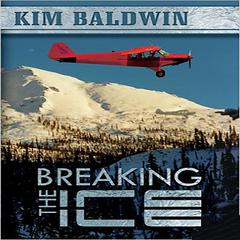 Breaking The Ice Audiobook, by Kim Baldwin