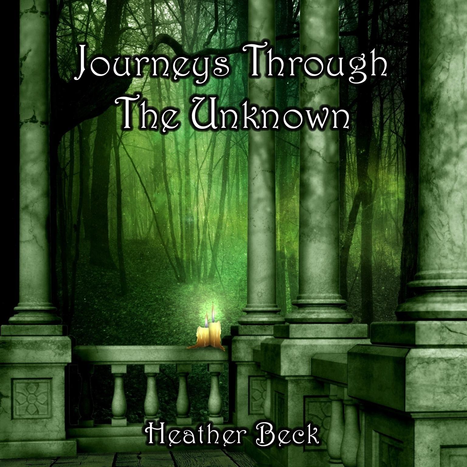 Journeys Through The Unknown (The Horror Diaries Book 2) Audiobook, by Heather Beck