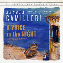 A Voice in the Night Audiobook, by Andrea Camilleri