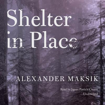Shelter in Place Audiobook, by Alexander Maksik