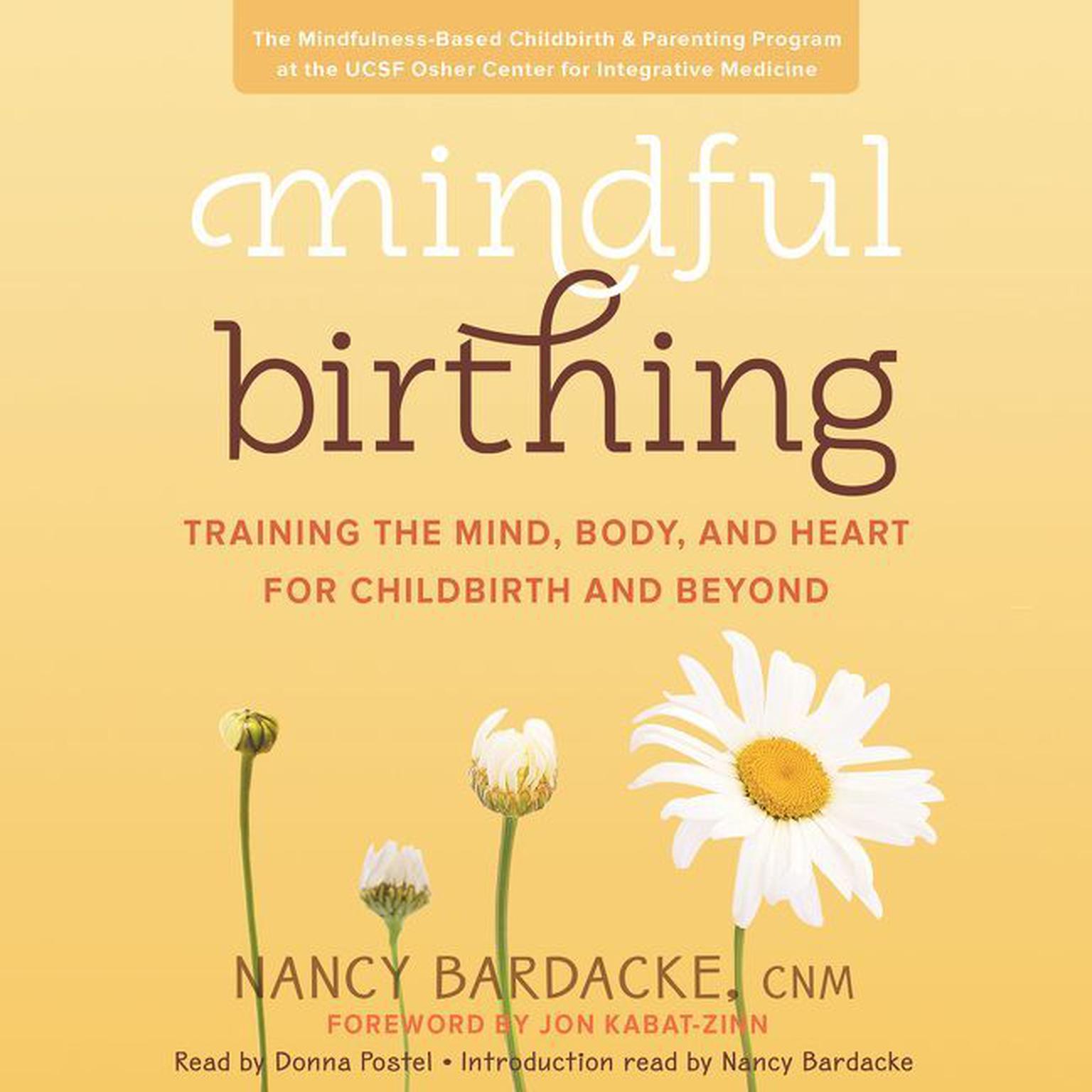 Mindful Birthing: Training the Mind, Body, and Heart for Childbirth and Beyond Audiobook, by Nancy Bardacke