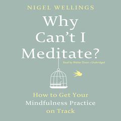 Why Cant I Meditate?: How to Get Your Mindfulness Practice on Track Audiobook, by Nigel Wellings