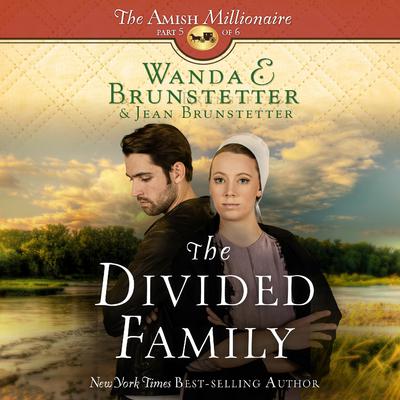 The Divided Family Audiobook, by Wanda E. Brunstetter