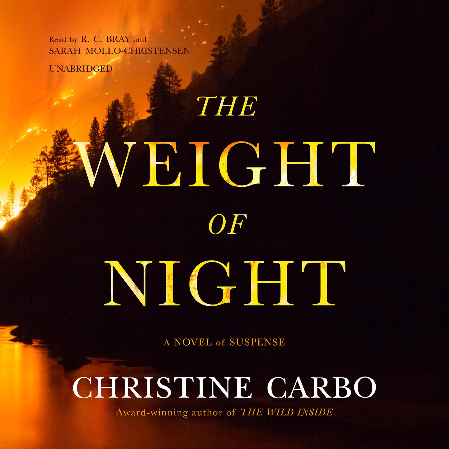 The Weight of Night: A Novel of Suspense Audiobook, by Christine Carbo