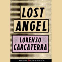 Lost Angel Audiobook, by 