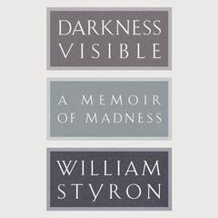 Darkness Visible: A Memoir of Madness Audiobook, by William Styron