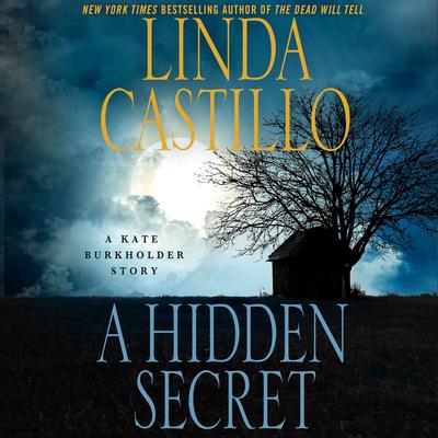 A Hidden Secret: A Kate Burkholder Short Story Audiobook, by Linda Castillo