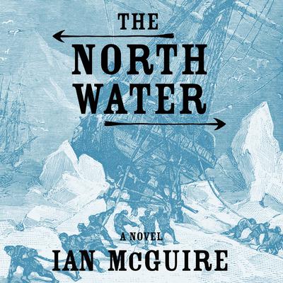 The North Water: A Novel Audiobook, by Ian McGuire