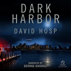 Dark Harbor Audiobook, by David Hosp