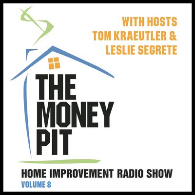 The Money Pit, Vol. 8 Audiobook, by Tom Kraeutler