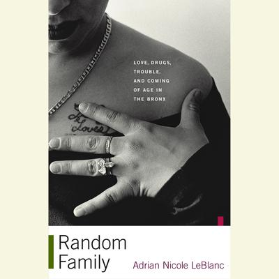 Random Family: Love, Drugs, Trouble, and Coming of Age in the Bronx Audiobook, by Adrian Nicole LeBlanc