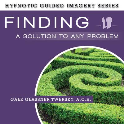 Finding a Solution to Any Problem: The Hypnotic Guided Imagery Series Audiobook, by Gale Glassner Twersky 